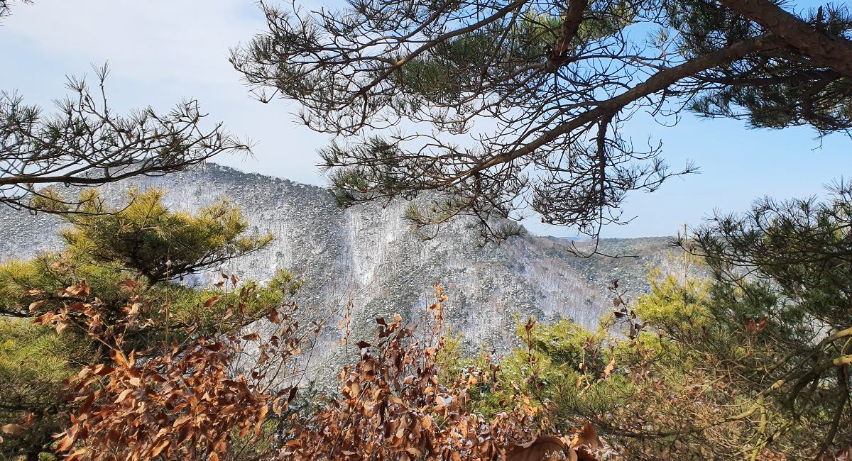 희리산 설경 (6)